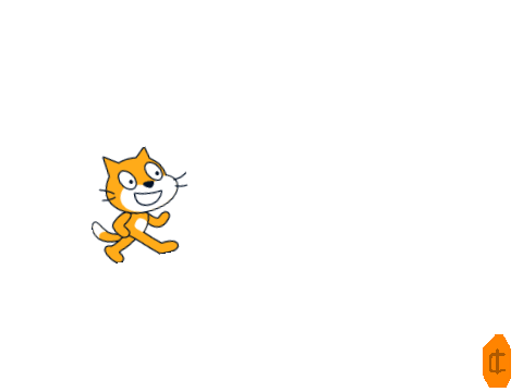 CAT RAID