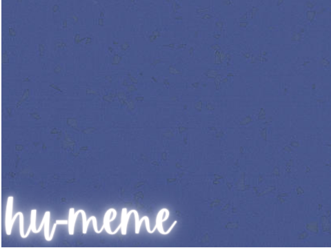 ❝ hu-meme ❞