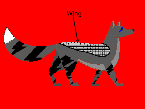 Storm and wind fox