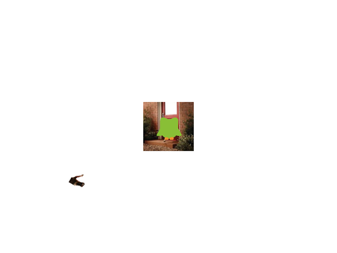 duolingo
