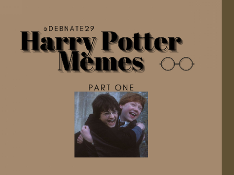 Harry Potter Memes