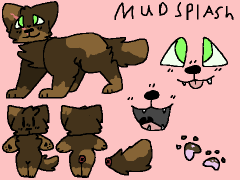 Mudsplash ref