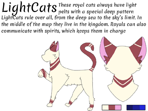 Out-cats ~ races/information  