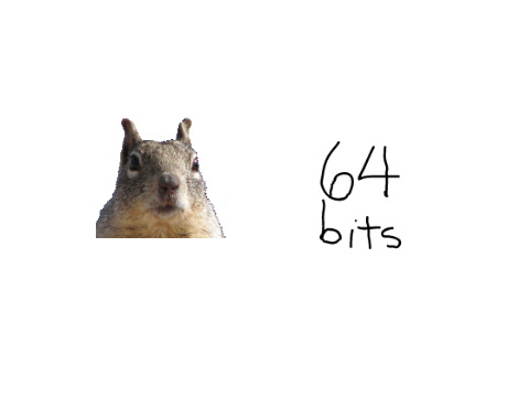 "Squirrel" Bit  