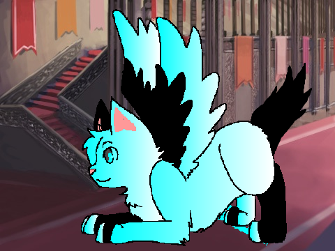 80 Follower CC! remix