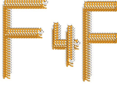 F4F!!!