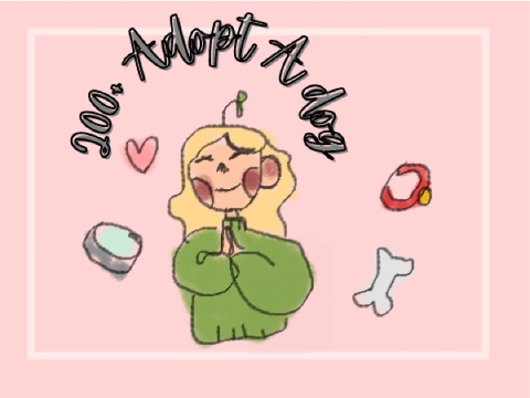 200+ Puppy Shelter: Adopt a dog