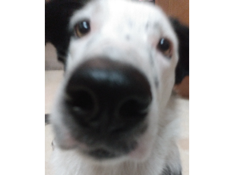 Hello There