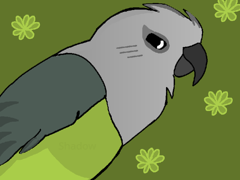 ~ Rubi ~