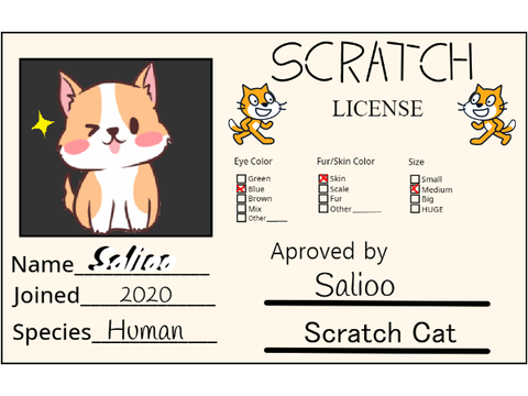 Scratch License 
