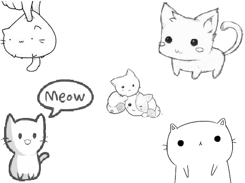 I love cats!