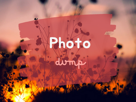 Photo Dump ˊˎ-