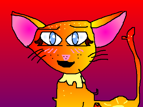 SKY DTA || ENTRY ll SUNRISE CAT