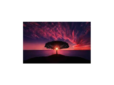 soothing pictures!