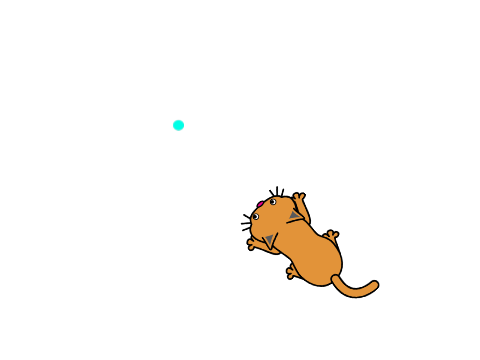 lazer pointer