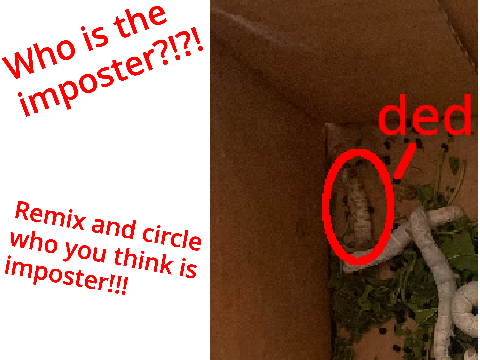 Imposter Detected