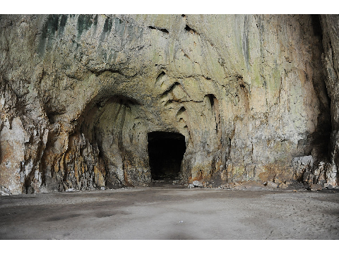 Cave Drawing