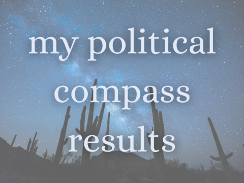 my political compass results