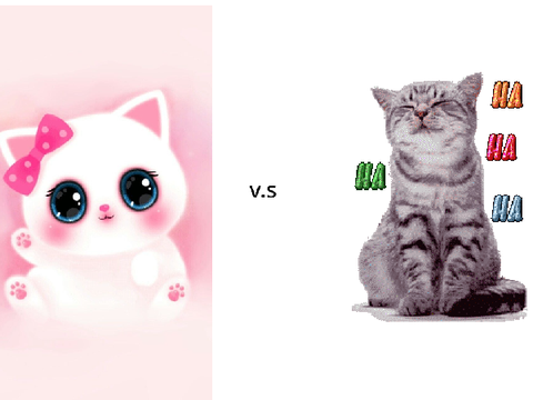 CAT V.S CAT