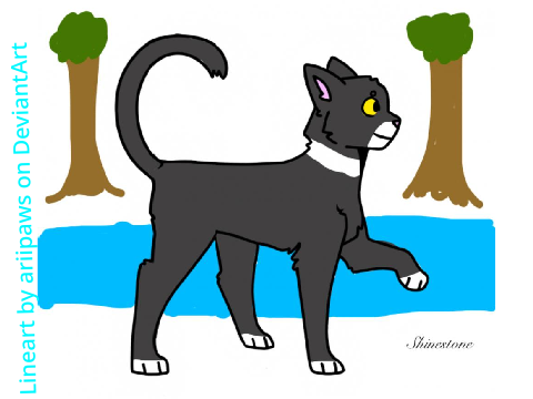 Art that I've Made