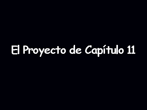 Chaper 11 Spanish Project