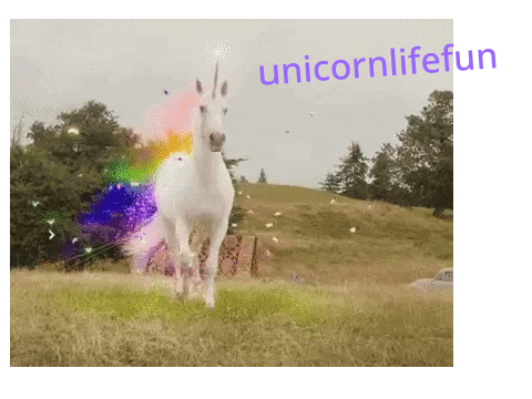 intro for @unicornlifefun
