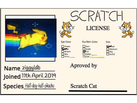 Make Your Own Scratch License remix