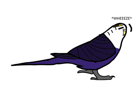 Voice reveal TwT
