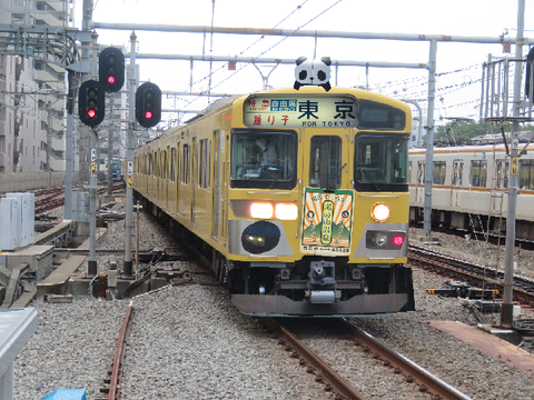 真　謎の車両
