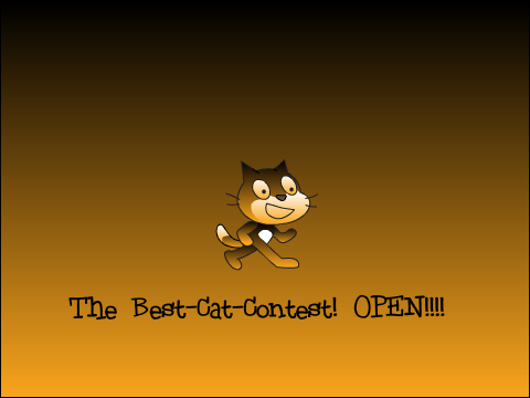 The best cat contest -OPEN-