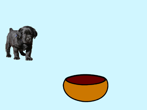 Catch the Puppy
