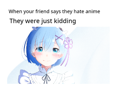 When your friend says they hate anime