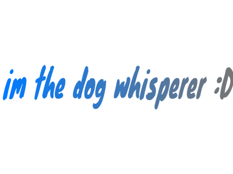dog