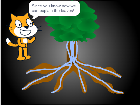 How plants work!