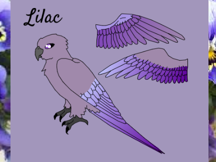 • Lilac •