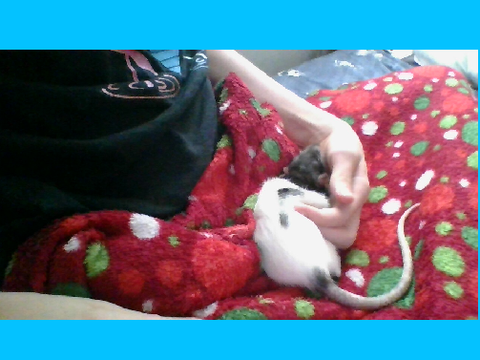 Cuddling Oreo!!  <3