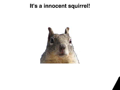 Innocent Squirrel :)