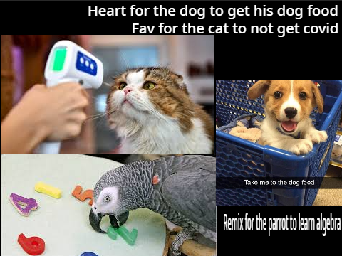 Cat, Dog or Parrot?