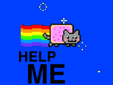 Turning around Nyan Cat