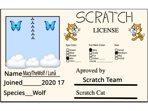 My Official Scratch License