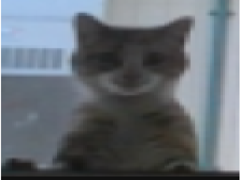 lol