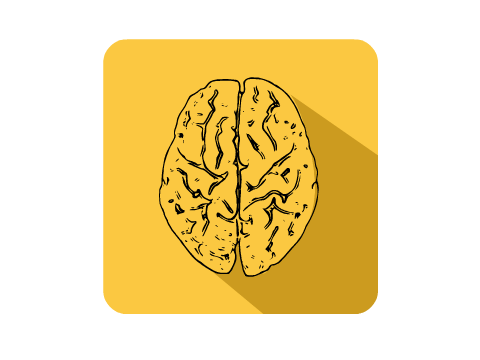 Big Brain (I know I suck at making names)