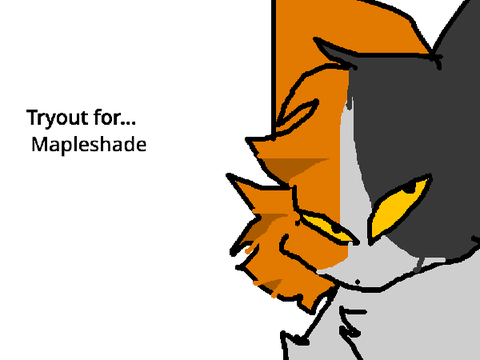 Trying out for Mapleshade!