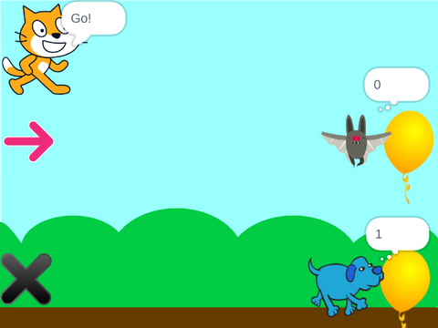 Animal Race