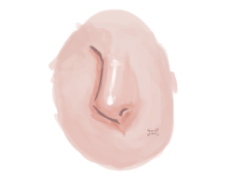 just a nose. art study
