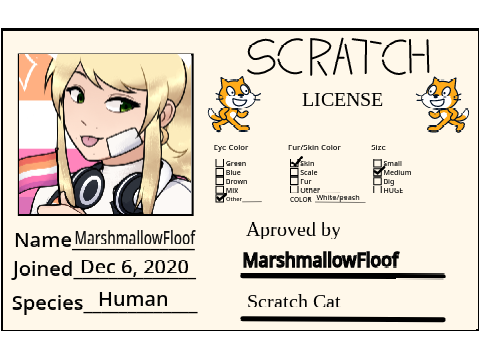 My scratch license ovo