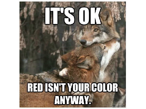 Funny Wolf Memes