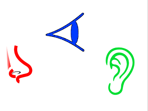 Eye, ear, nose chasing you