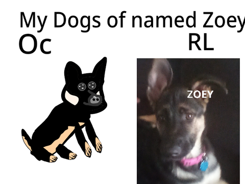 Dogs (my dog)