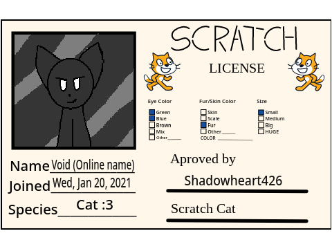 My Scratch License 